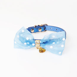 Bright Colors Dog Collar