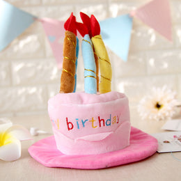 Pet Transformation Hat - Cute Cat Birthday Cake Hat
