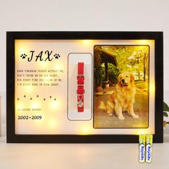 WOODEXPE Dog Memorial Gifts Picture Frame Pet Collar Keepsake Sympathy Gift LED Shadow Box for Loss of Cat Dog for Most XS MI MC Size Collars