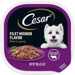 CESAR Adult Soft Wet Dog Food Filets in Gravy Filet Mignon Flavor 3.5 oz. Tray