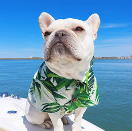 Summer Pet Printed Cotton Outfits for Small Dogs