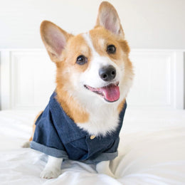Summer Pet Printed Cotton Outfits for Small Dogs
